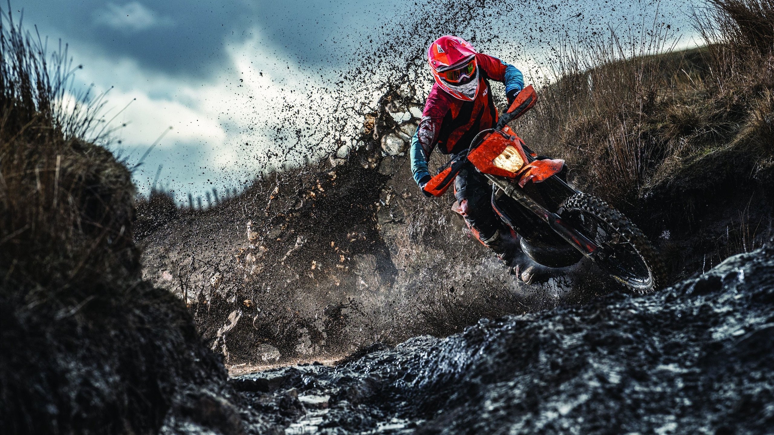 开云中国大陆-体育新闻中心启动体育新媒体人才培养计划，体育新闻媒体有哪些